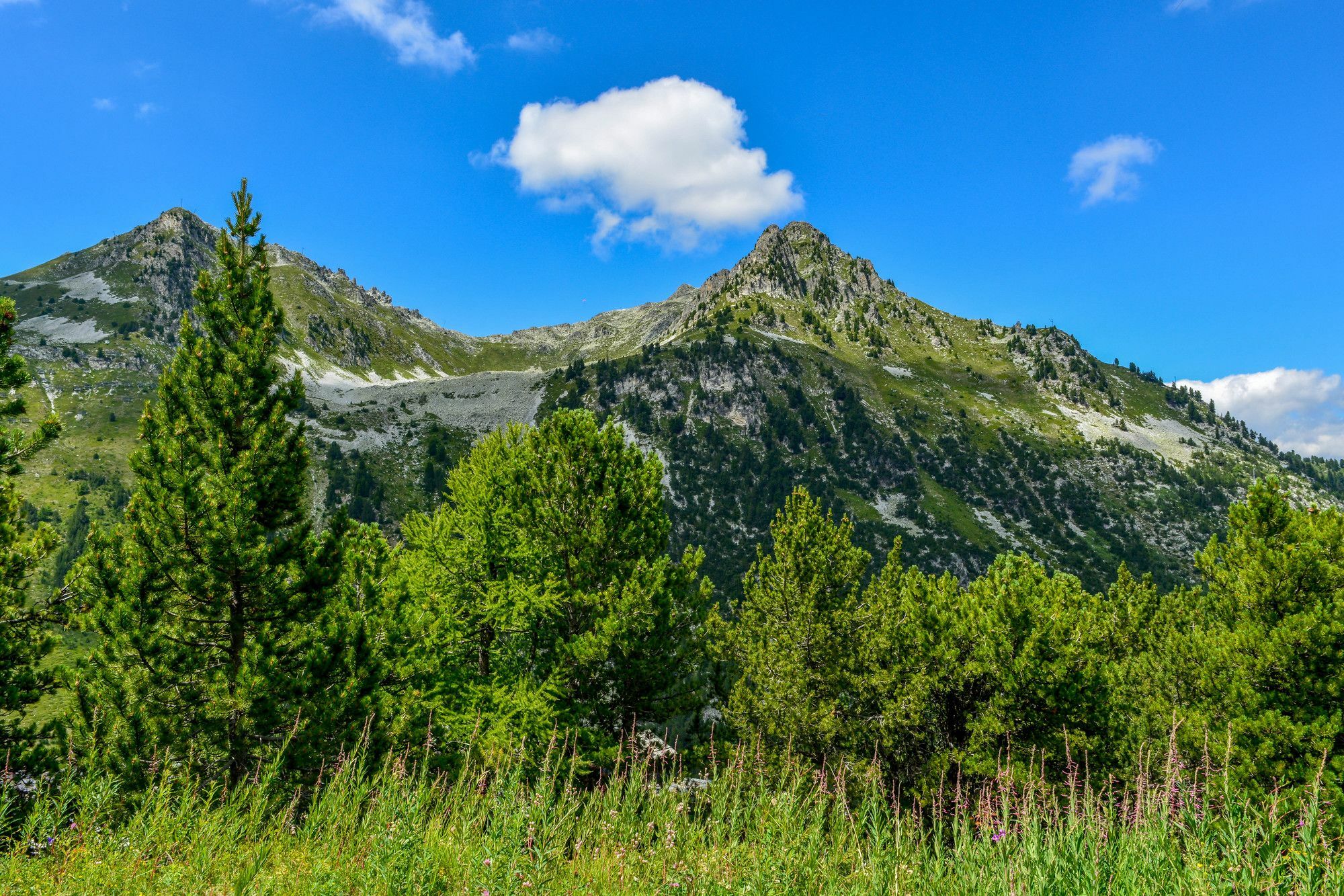 Chalet Des Neiges : La Cime Des Arcs Les Arcs  Dış mekan fotoğraf